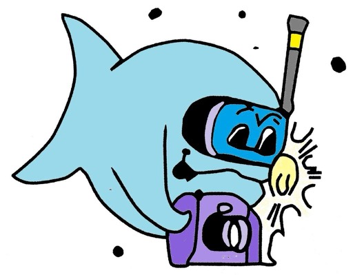Diving Pula logo