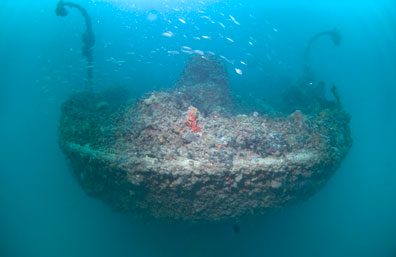Wreck Varese, underwater photo 3