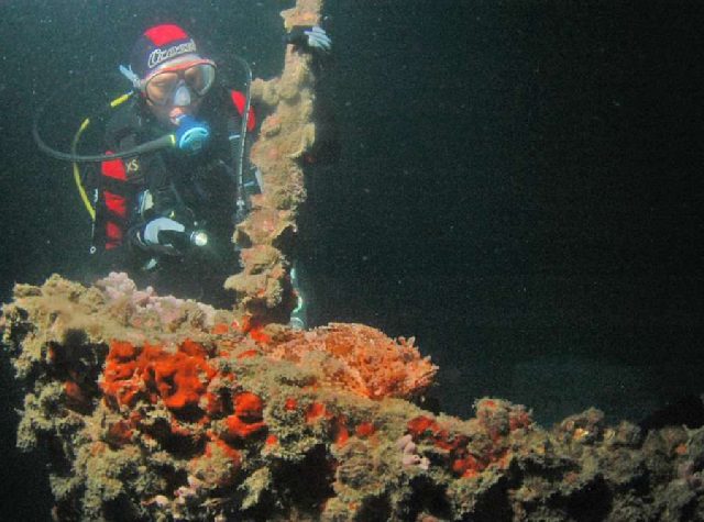Wreck Draga, underwater photo 3