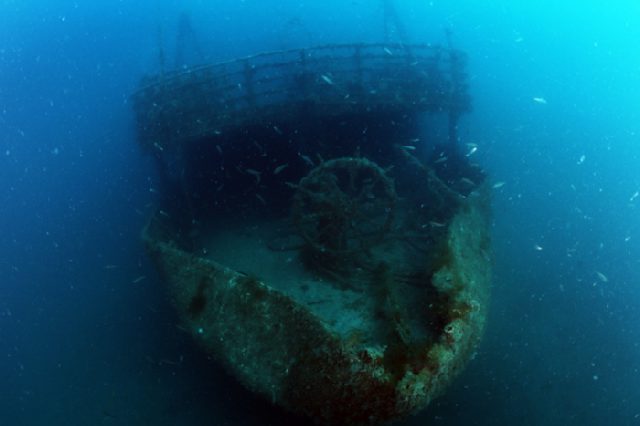 Admiral Ship Vis, underwater photo 2