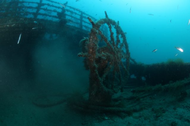 Admiral Ship Vis, underwater photo 3