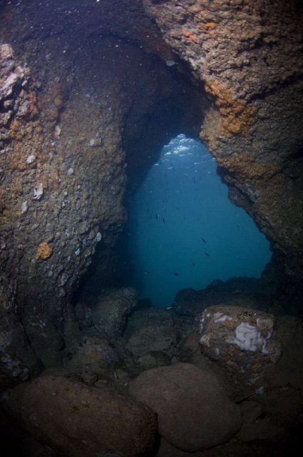 Reef Galebove stijene, underwater photo 4