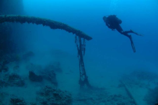 Reef Jarbol, underwater photo 2