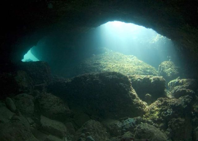 Reef Galebove stijene, underwater photo 3