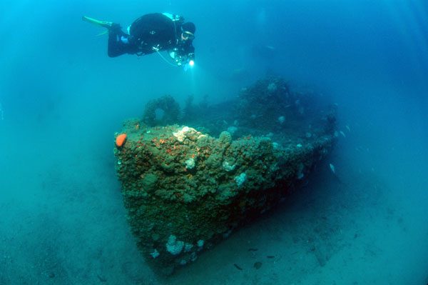 Diving Pula, underwater photo 1