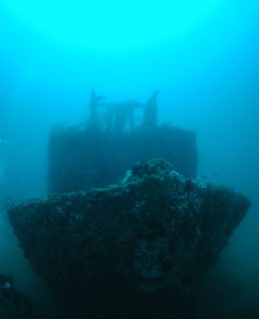 Diving Pula, underwater photo 2