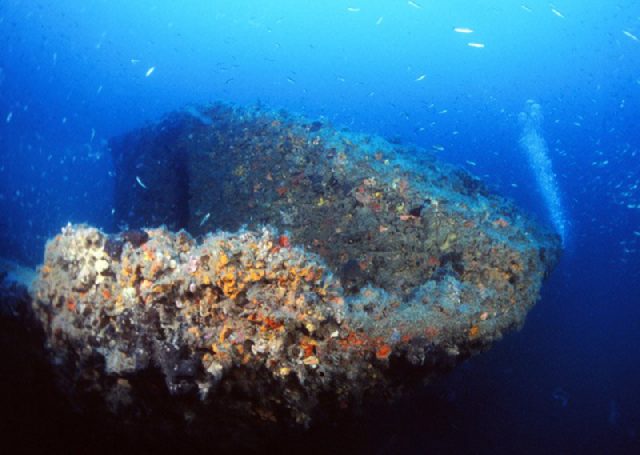Diving Pula, Underwater 14