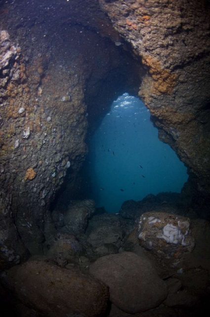 Diving Pula, Underwater 28