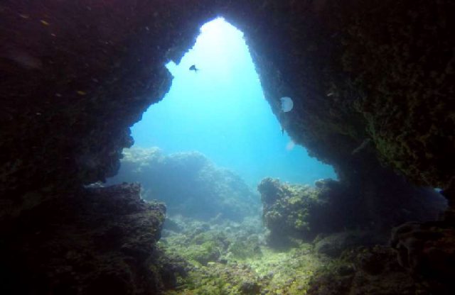 Diving Pula, Underwater 44