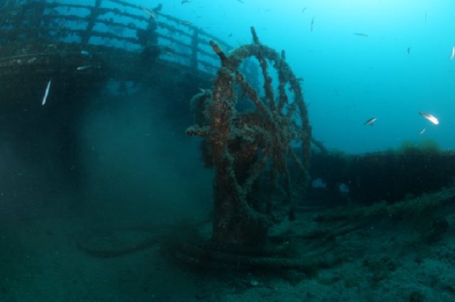 Diving Pula, Underwater 11