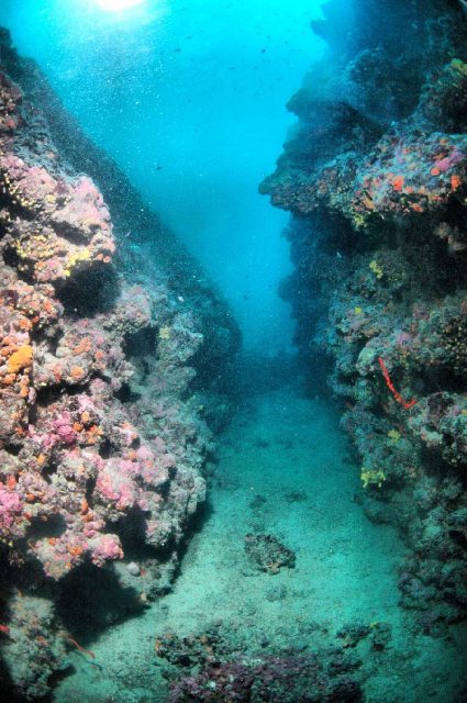 Diving Pula, Underwater 17