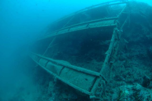 Diving Pula, Underwater 40